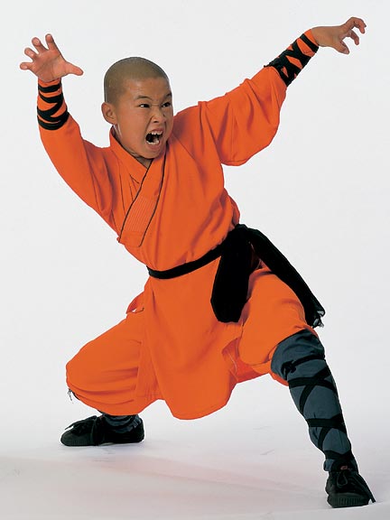 Tiger Boxing Fu Kung Fu